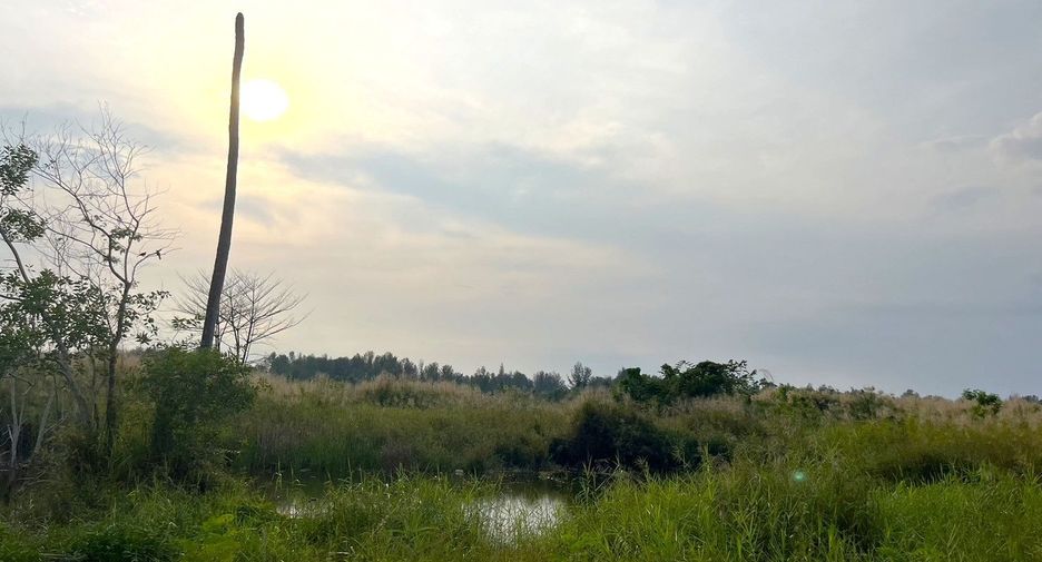出售 土地 在 Takua Pa, Phangnga