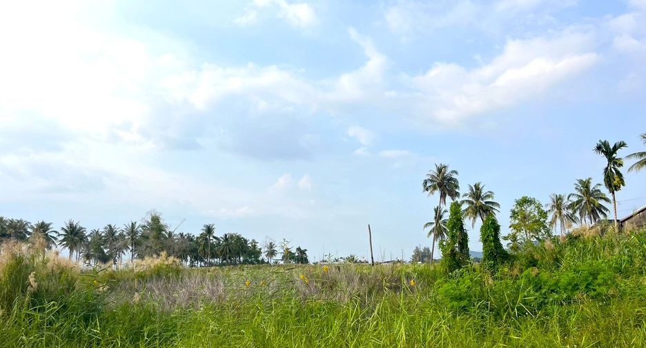 出售 土地 在 Takua Pa, Phangnga