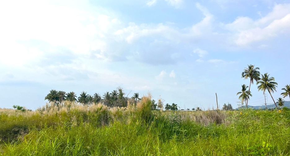 出售 土地 在 Takua Pa, Phangnga