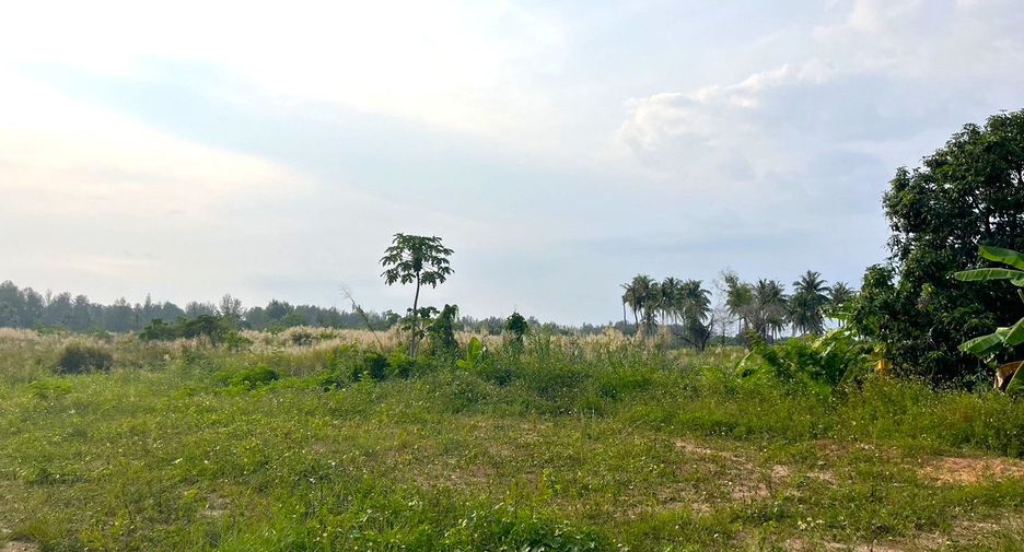 出售 土地 在 Takua Pa, Phangnga
