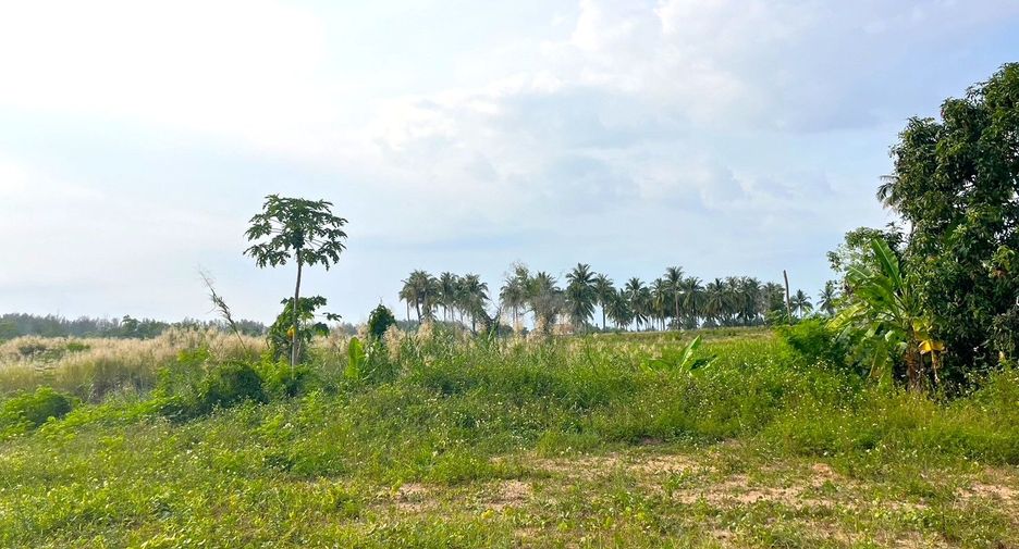 出售 土地 在 Takua Pa, Phangnga