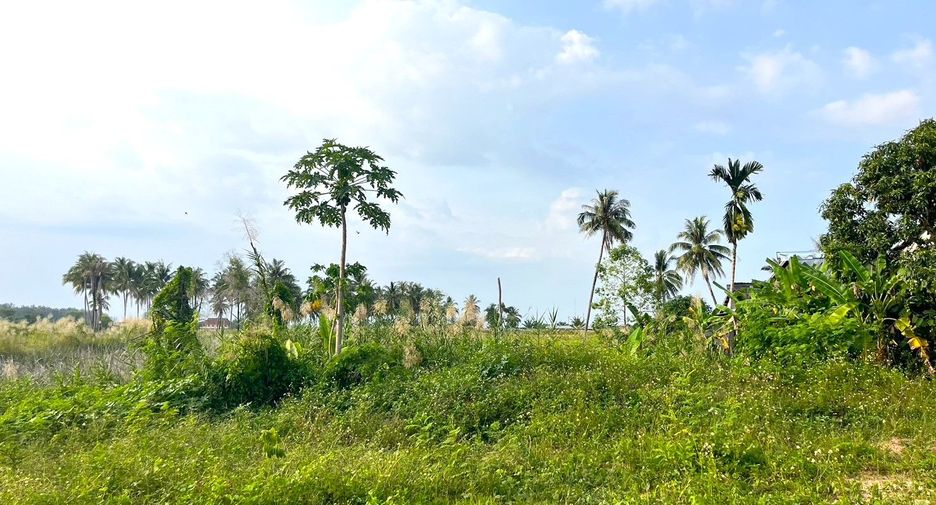 出售 土地 在 Takua Pa, Phangnga