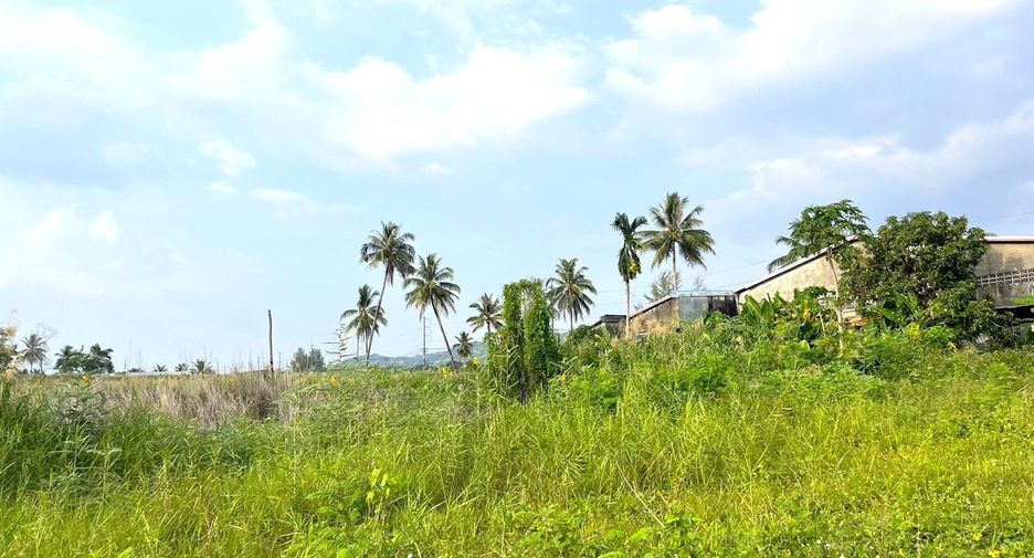 出售 土地 在 Takua Pa, Phangnga