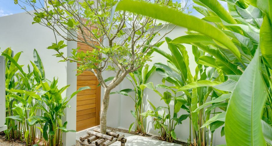 Villa zur Miete und zum Kauf mit 3 Zimmer in Thalang, Phuket
