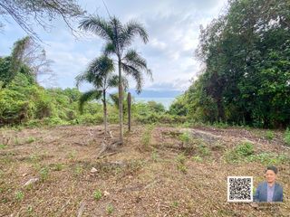 For sale land in Ko Chang, Trat