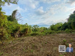 For sale land in Ko Chang, Trat