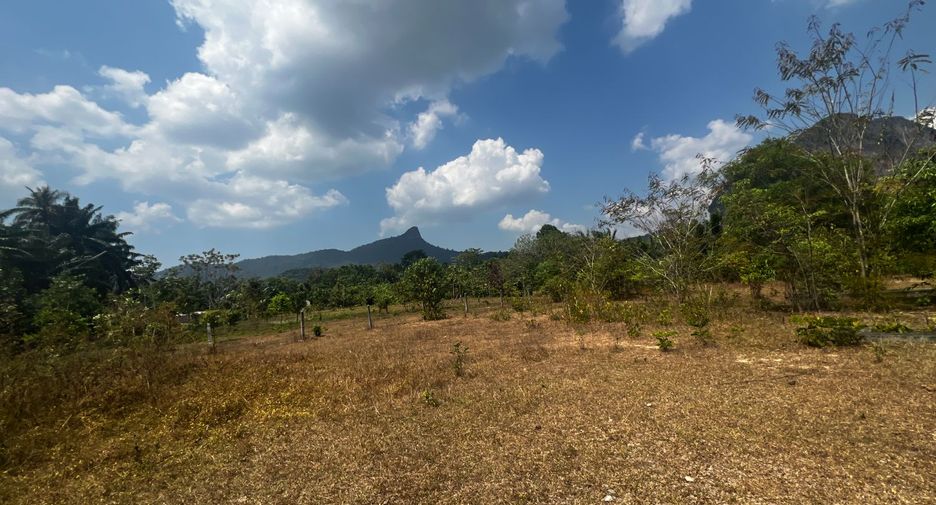 Grundstück zum Kauf in Mueang Krabi, Krabi