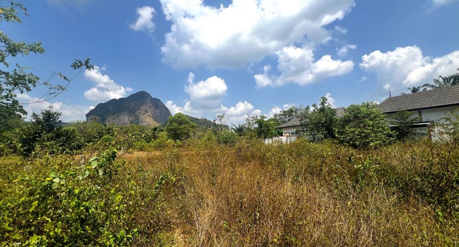 Grundstück zum Kauf in Mueang Krabi, Krabi