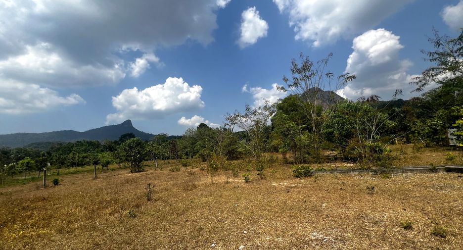 Grundstück zum Kauf in Mueang Krabi, Krabi