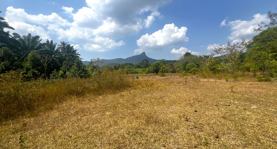 Grundstück zum Kauf in Mueang Krabi, Krabi