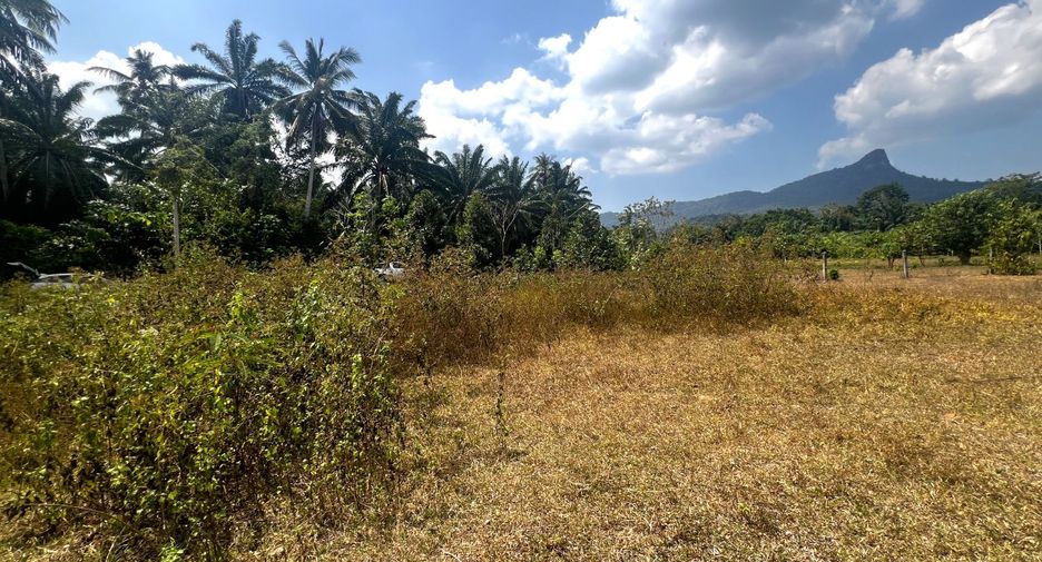 Grundstück zum Kauf in Mueang Krabi, Krabi