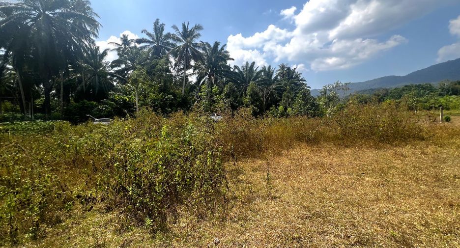 Grundstück zum Kauf in Mueang Krabi, Krabi