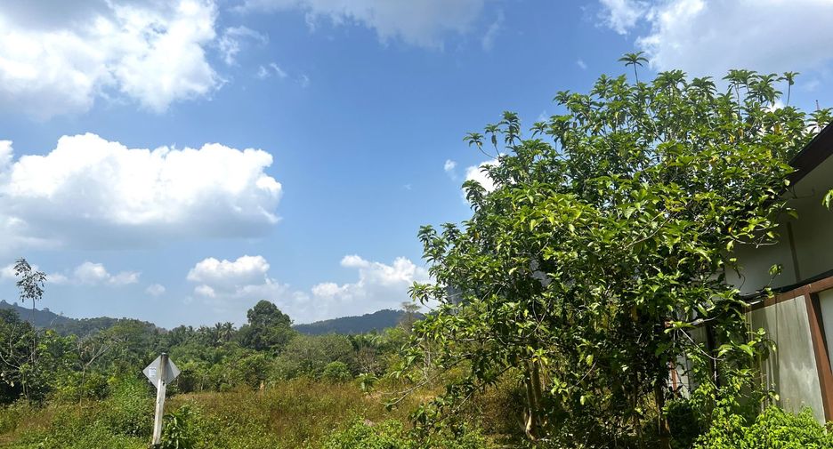 Grundstück zum Kauf in Mueang Krabi, Krabi