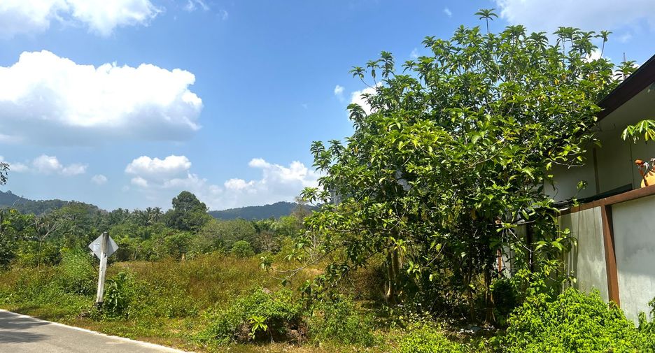 Grundstück zum Kauf in Mueang Krabi, Krabi