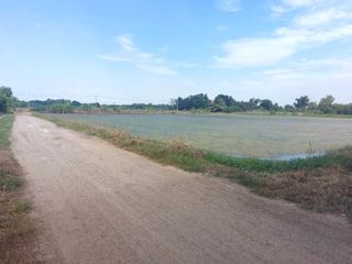 ขาย ที่ดิน ใน พุทธมณฑล, นครปฐม