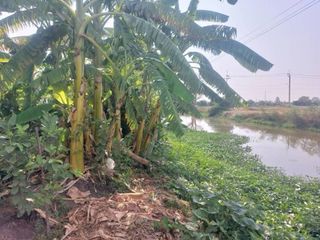 For sale land in Bang Sao Thong, Samut Prakan