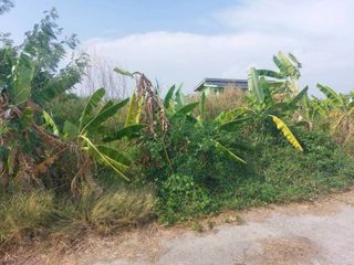 For sale land in Bang Sao Thong, Samut Prakan