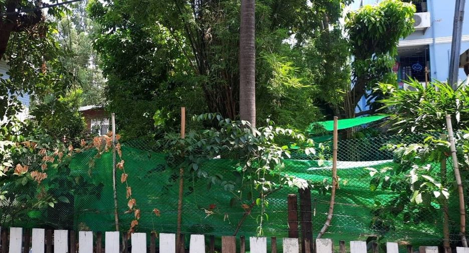For sale land in Bang Sue, Bangkok