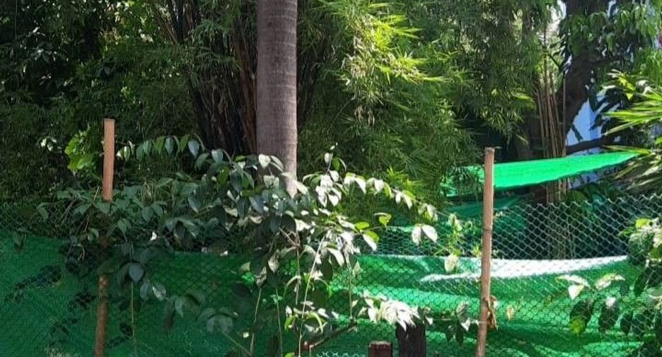 For sale land in Bang Sue, Bangkok