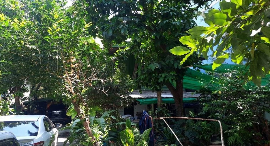 For sale land in Bang Sue, Bangkok