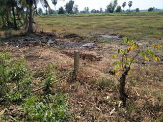 For sale land in Hankha, Chainat