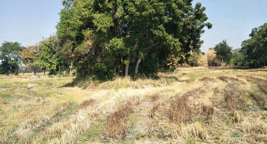 Terreno en venta en Hankha, Chainat