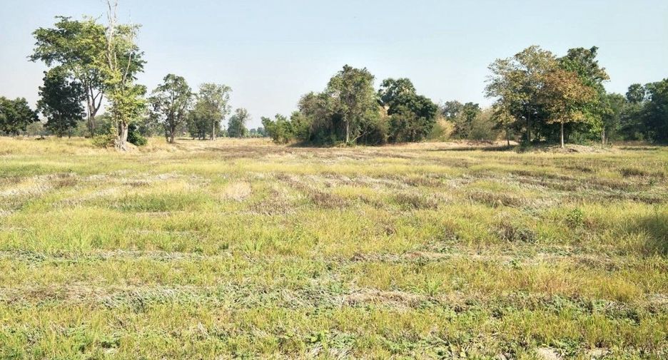 Terreno en venta en Hankha, Chainat