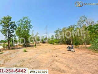 For sale land in Don Chedi, Suphan Buri