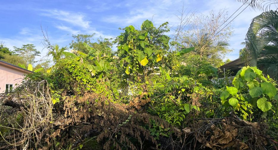 出售 土地 在 Takua Thung, Phangnga