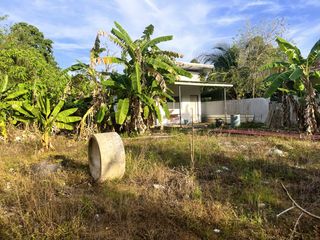 For sale land in Takua Thung, Phang Nga