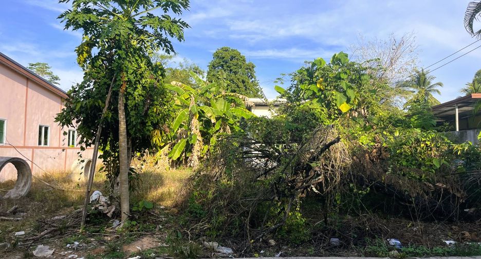 出售 土地 在 Takua Thung, Phangnga