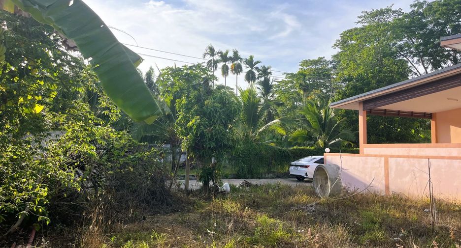 出售 土地 在 Takua Thung, Phangnga