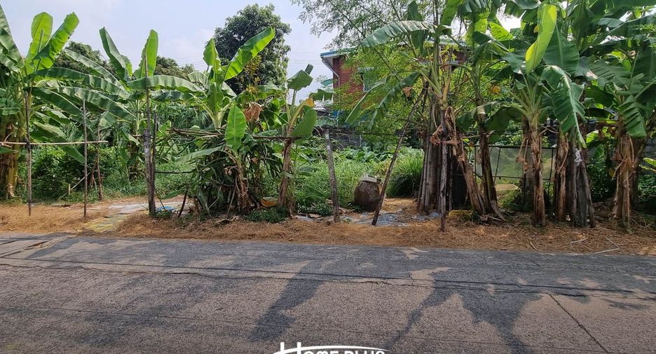 For rent land in Lam Luk Ka, Pathum Thani