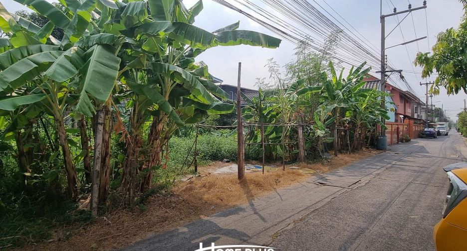 For rent land in Lam Luk Ka, Pathum Thani