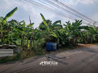 For rent land in Lam Luk Ka, Pathum Thani