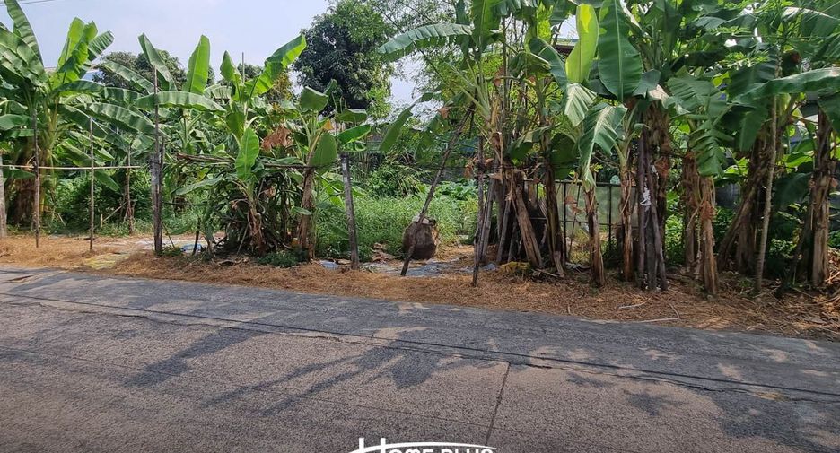 For rent land in Lam Luk Ka, Pathum Thani
