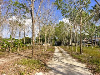 For sale land in Thai Mueang, Phang Nga