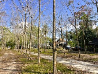 For sale land in Thai Mueang, Phang Nga