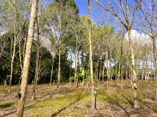For sale land in Thai Mueang, Phang Nga