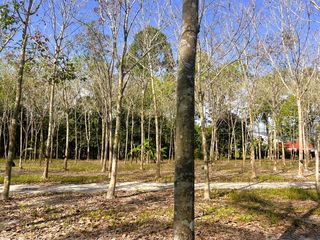 For sale land in Thai Mueang, Phang Nga
