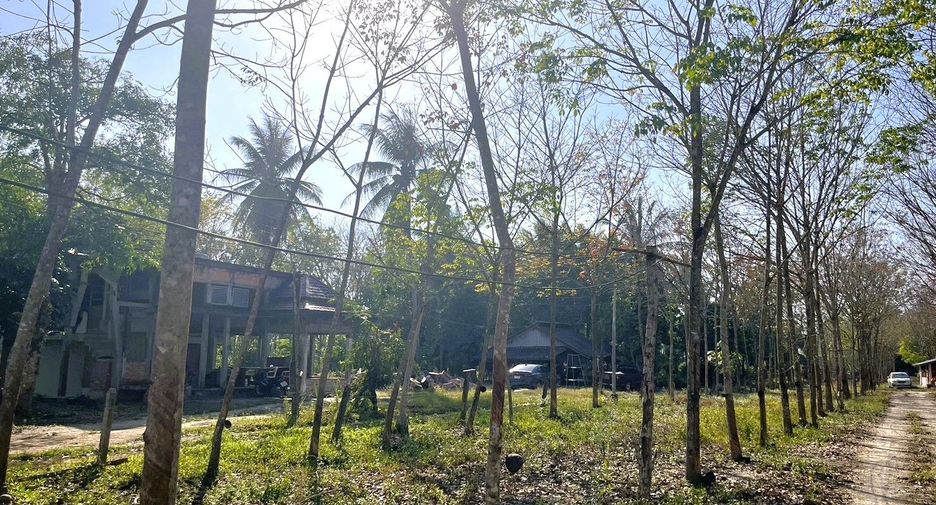 Grundstück zum Kauf in Thai Mueang, Phang Nga