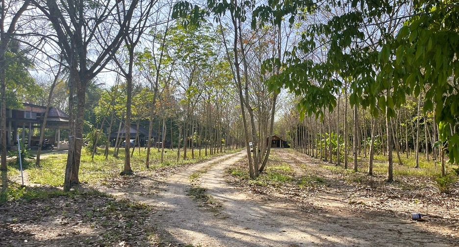 Grundstück zum Kauf in Thai Mueang, Phang Nga