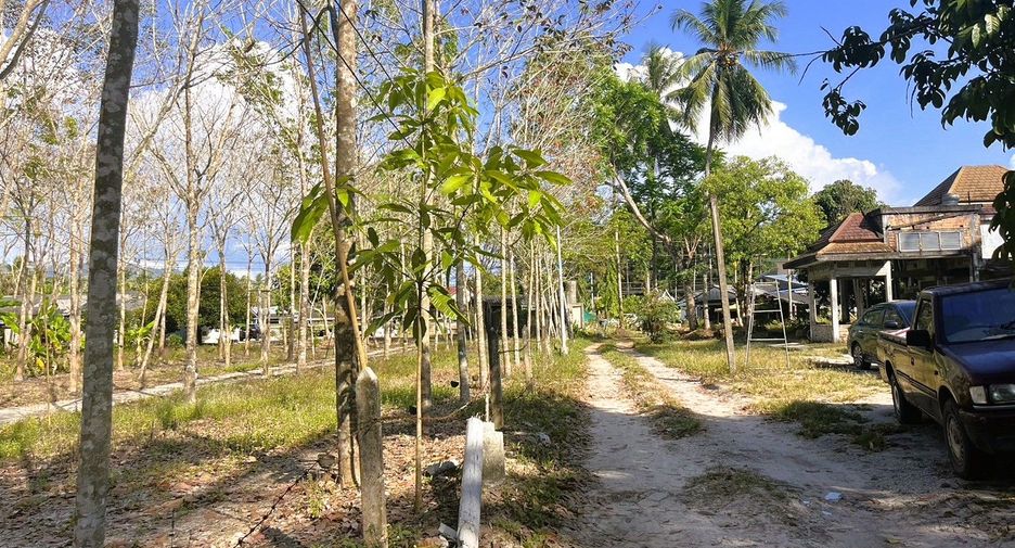 Grundstück zum Kauf in Thai Mueang, Phang Nga