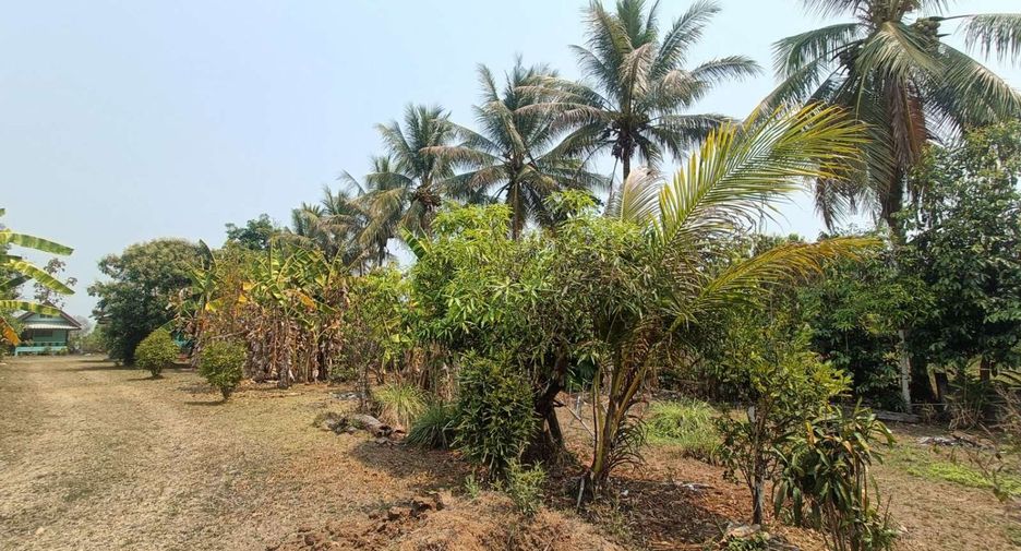 For sale 7 bedrooms house in Pai, Mae Hong Son