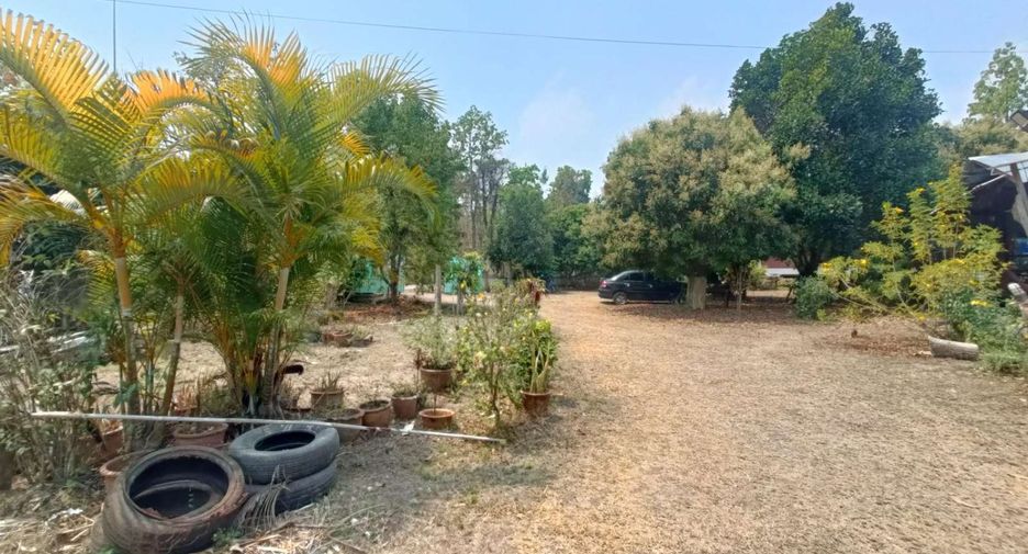 For sale 7 bedrooms house in Pai, Mae Hong Son