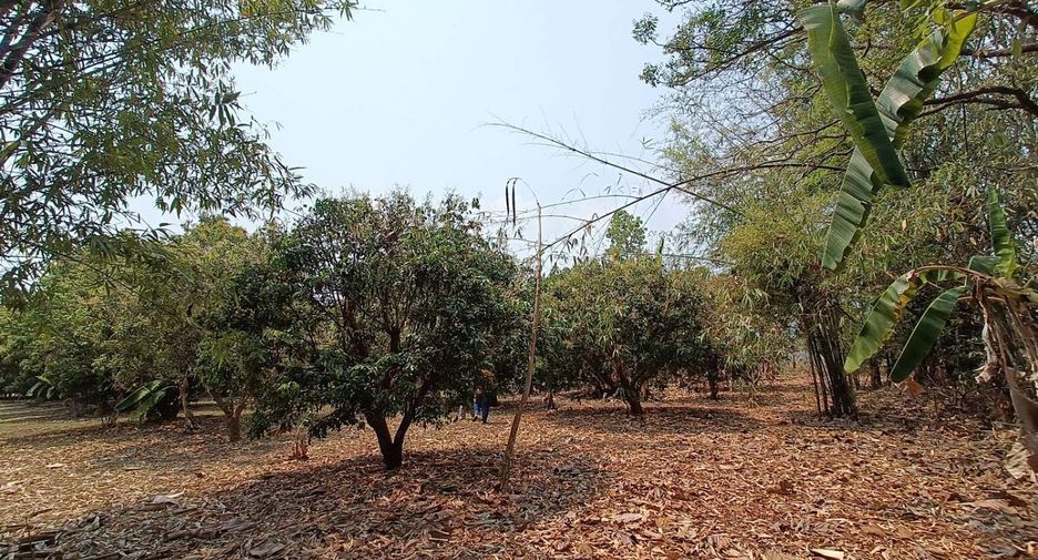 For sale 7 bedrooms house in Pai, Mae Hong Son
