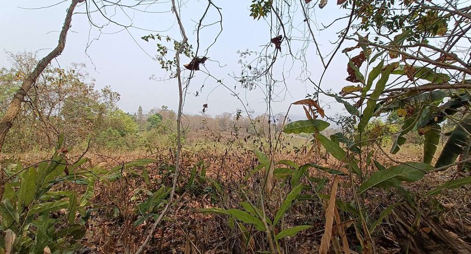 For sale 7 bedrooms house in Pai, Mae Hong Son