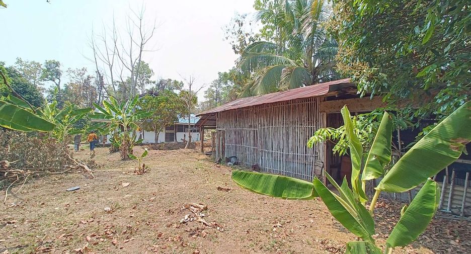 For sale 7 bedrooms house in Pai, Mae Hong Son