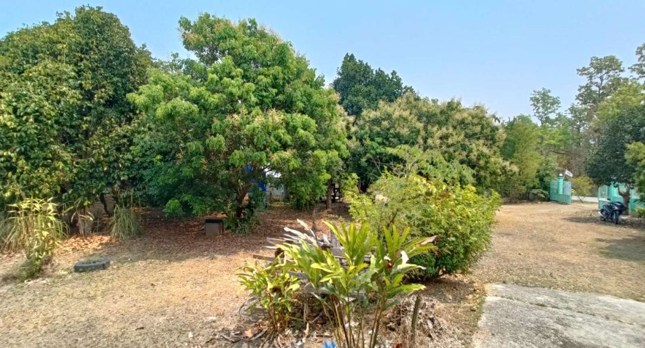 For sale 7 bedrooms house in Pai, Mae Hong Son