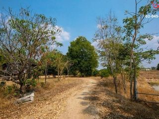 For sale land in Tha Tako, Nakhon Sawan